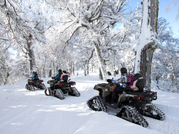 Combo Cuatriciclos con Orugas + Caminata con Raquetas